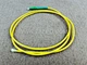 singlemode pigtail